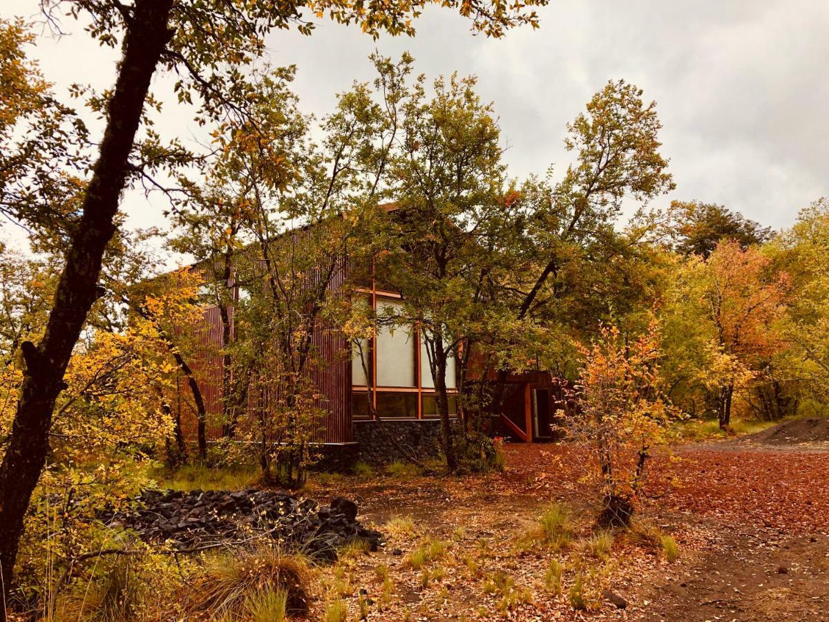 Chalet Cipres Las Trancas Buitenkant foto