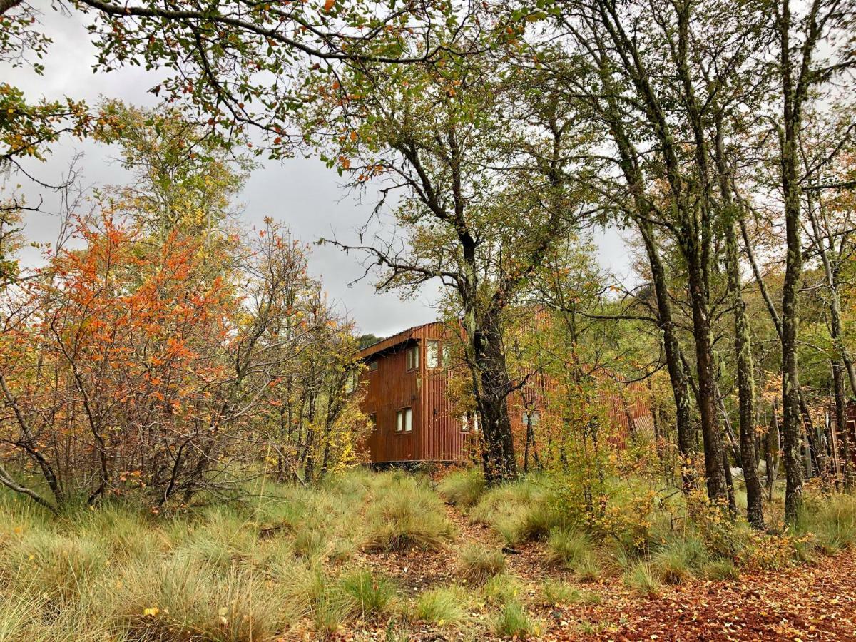 Chalet Cipres Las Trancas Buitenkant foto